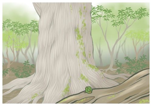 ��ѩ�l(f��)����ȦΨ���̾�?��ѩ�l(f��)����Ȧ�̾�