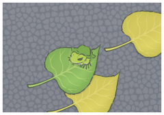 ���������ӄ�־�̾���,����܇�ϵ�СԊ