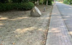�ͺ���ͦ�Ї�(gu��)������,��(gu��)�H�Wί��(hu��)�نT��ͦ�������W��(hu��)