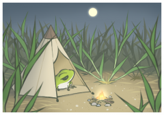 �Ƥ���ײ�Ĺ�Ч�c����,ʯ�Q���Ĺ�Ч�c����